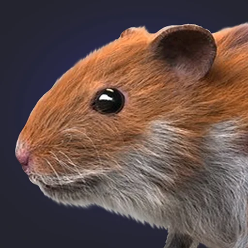 Download Hamster Clicker Earn Coins – Maglaro at Kumita ng Rewards